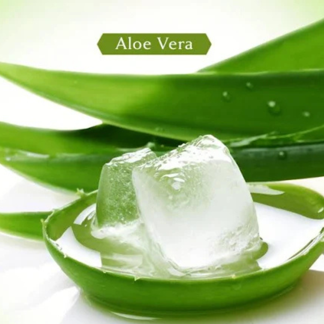 Aloe Fresh Organic Soap
