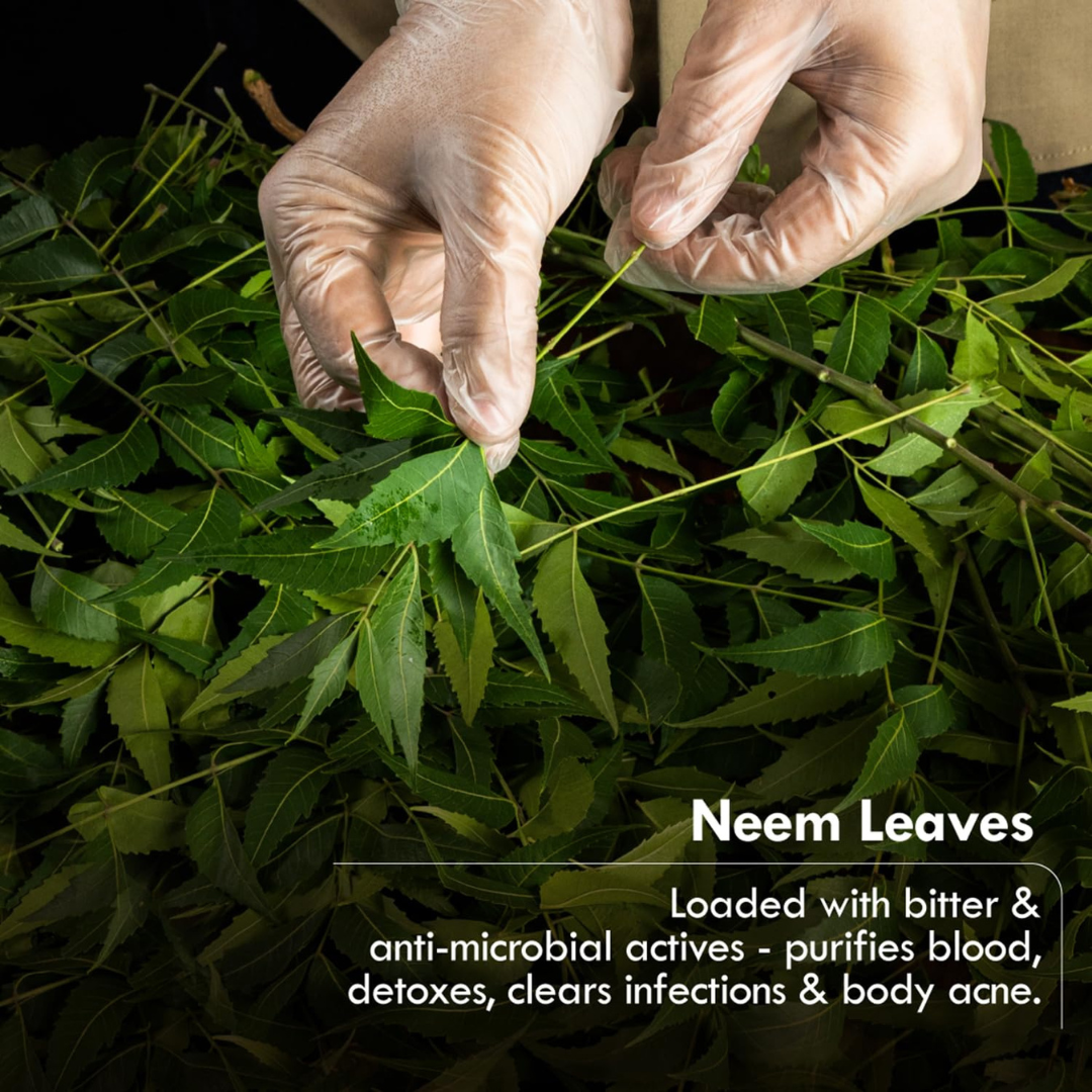 Neem Purify Organic Soap