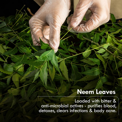 Neem Purify Organic Soap